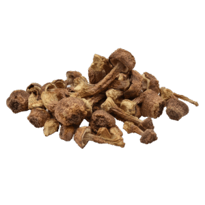 Organic Agaricus blazei murill Extract