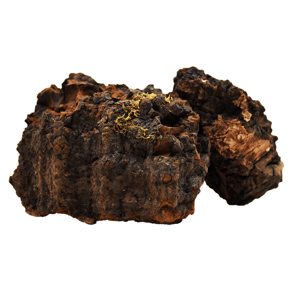 Organic Chaga Extract, Organic Chaga Powder