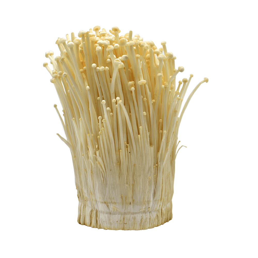 Organic Flammulina Velutipes extract 1000