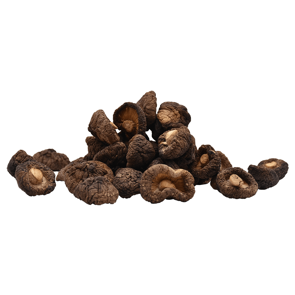 Organic Shiitake Extract, Organic Shiitake Powder